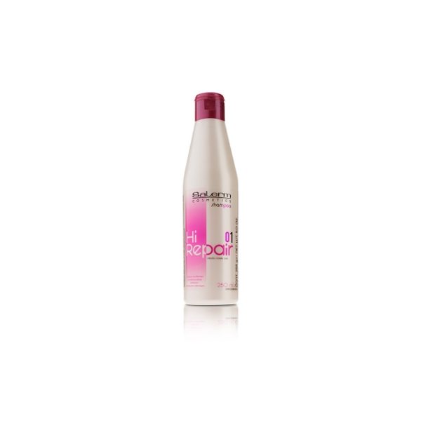 SALERM SHAMPOO HI REPAIR 250ML