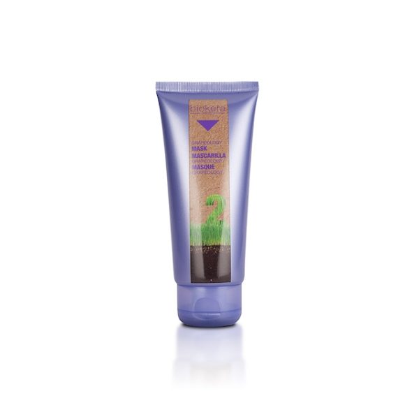 SALERM MASCARILLA GRAPEOLOGY BIOKERA SALERM 200ML